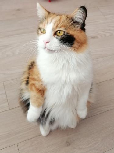 ����-�������