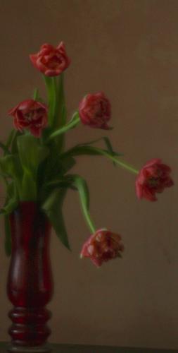 ������ ����� 