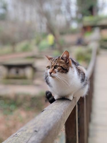 �� ��������� �����