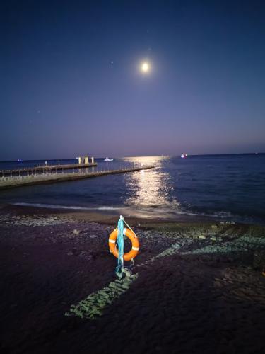 ������ �������