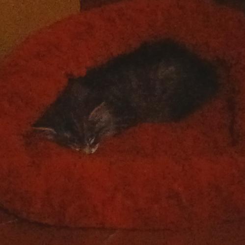 ������� ���