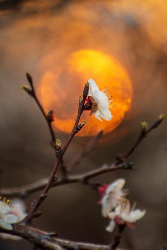 ������ �������� �� ������ ������