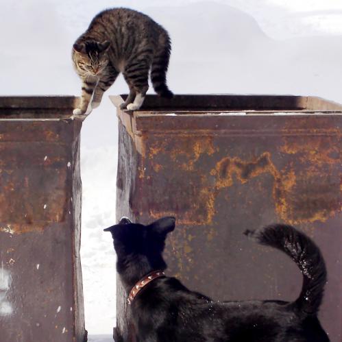 �� ��� �����?