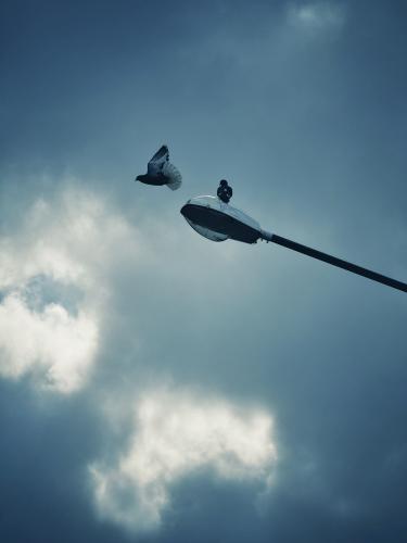 �������� �������