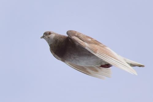 ����� �������� ISO125 210mm f5,6 1-1000s