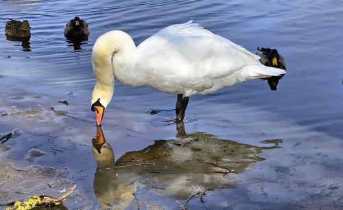 �������