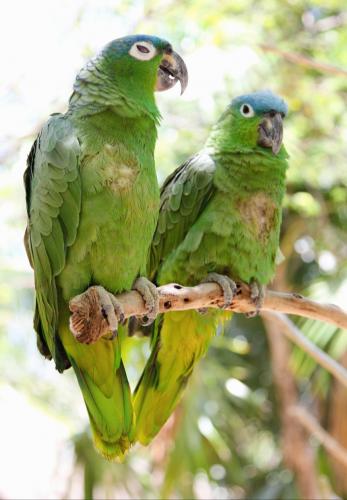 ������������