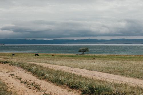 �������� �������