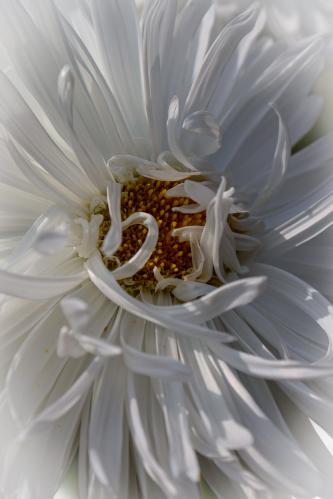 ����������.