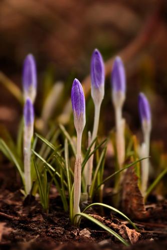 �������. 