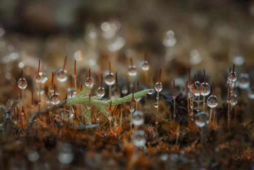 ��� � ��������� �������� ����...