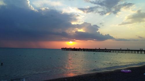 ������ ����