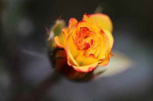 ���� � ��������� 