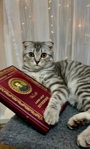 �������������� ������