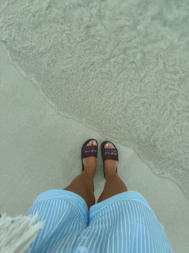 �������. ������ �����