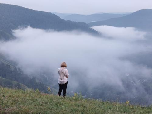 �������� �����������