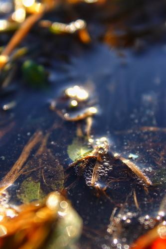 ����� ���� �� ����� 