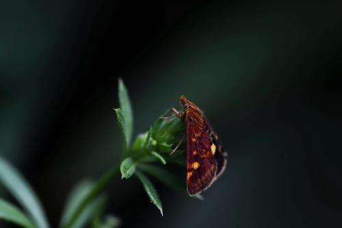 ������� �� ����