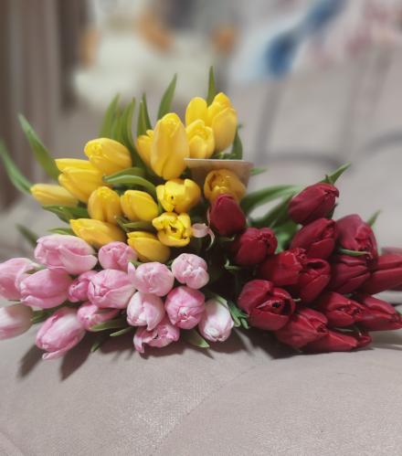 �������� ��������