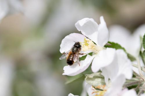 ��������� ����