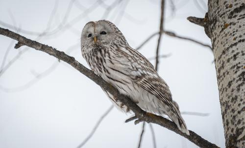 ������������� �������.