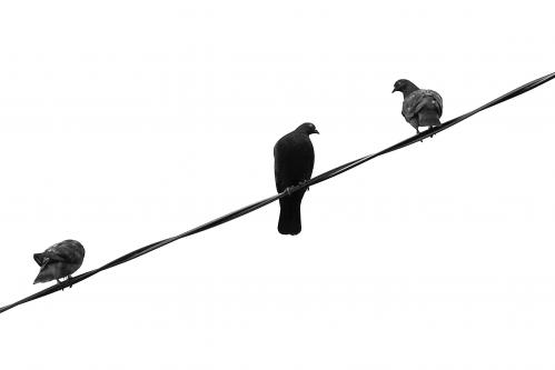 ������ ������...