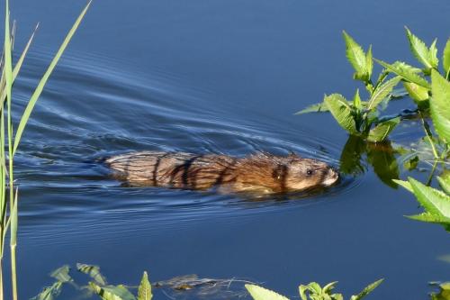 �������