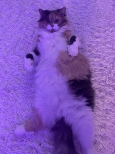 �� ����� !