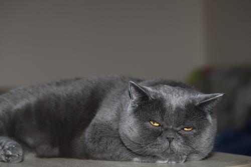 ������ � ������ 