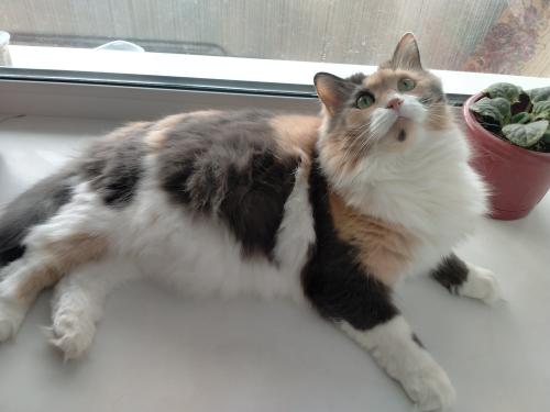 ����� � ������ 