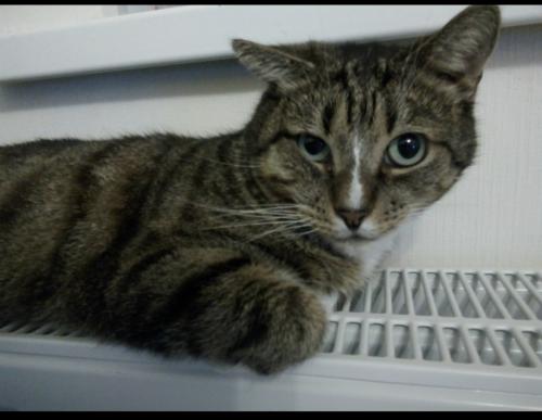 ��������� ������ 