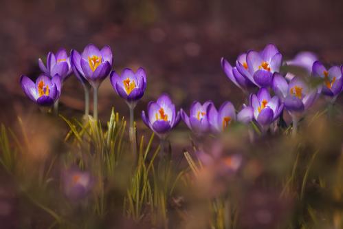 �������� �������. 