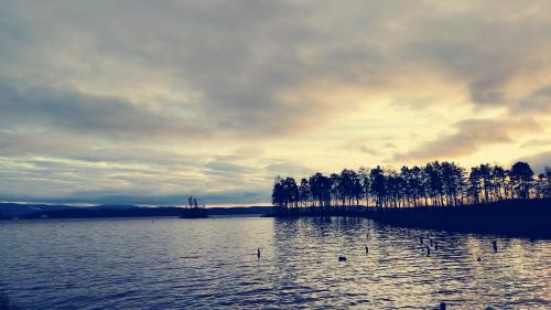 �� ������ 