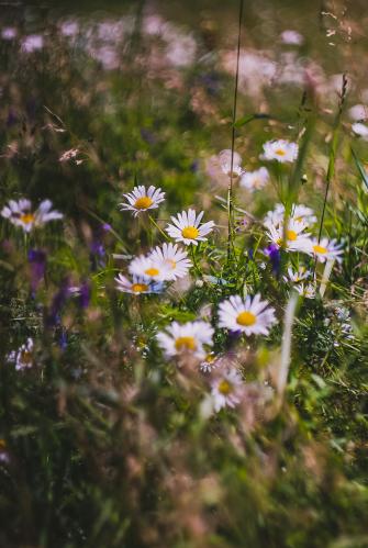 ���������� ������