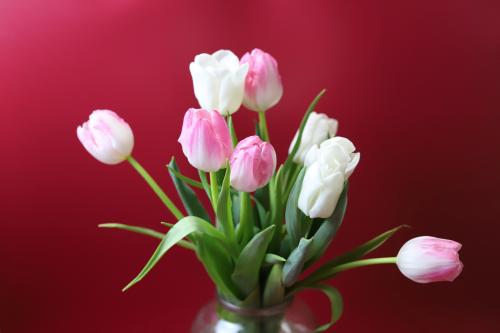 �������� ����� 