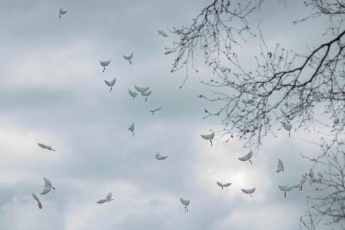 ...� ������������ � ����� ��������