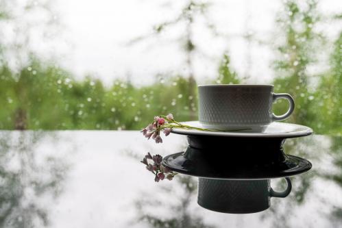 ������� �������� 