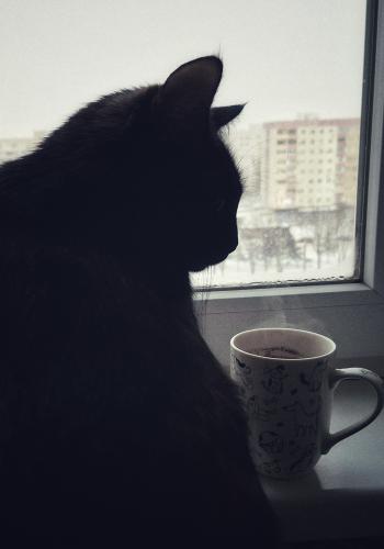 ����� � ����