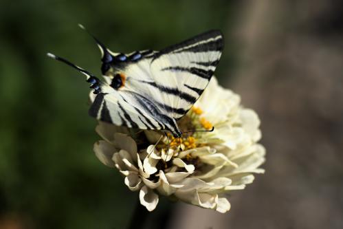 ��������� �� ����� 