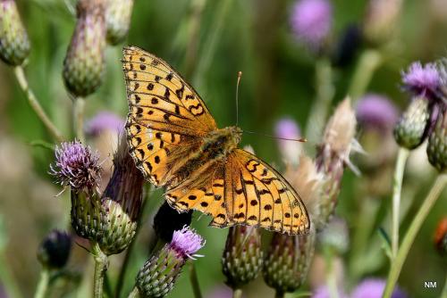 �������������