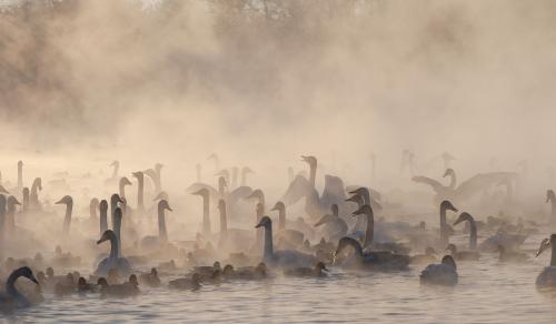 �������...-35