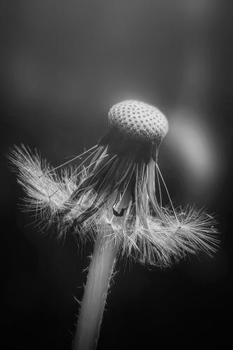 ������� ������� �����. 