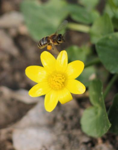 �������� ������ 