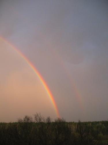 �������� ������ 