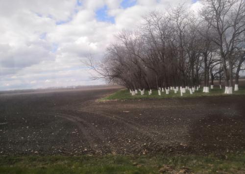 ������� � ��������