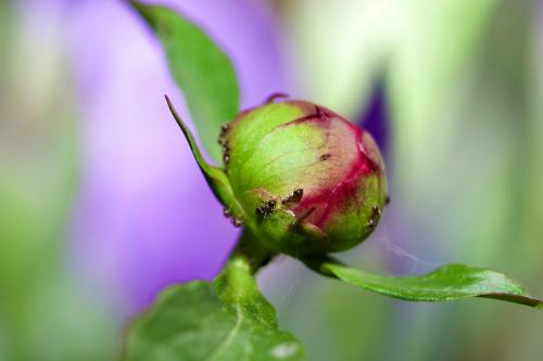 ������� �� �����