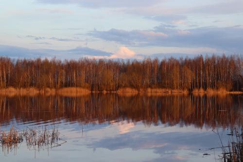 ������� ��� ������