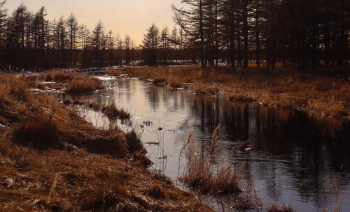 �������� ����� �� ���� ����