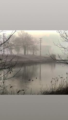 ����� ����� 