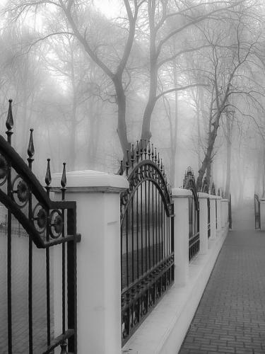 ������� ����� 